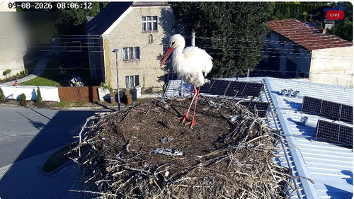 MWSnap879.jpg