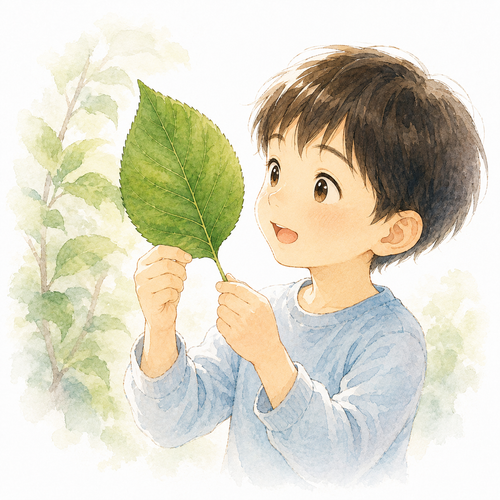 28. 葉（は）— daun.png