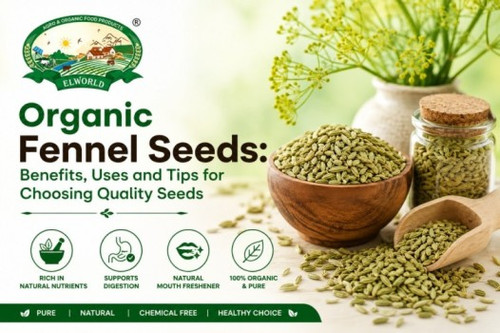 Organic Fennel Seeds Benefits, Uses and Tips for Choosing Quality Seeds.jpg