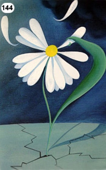 144.jpg