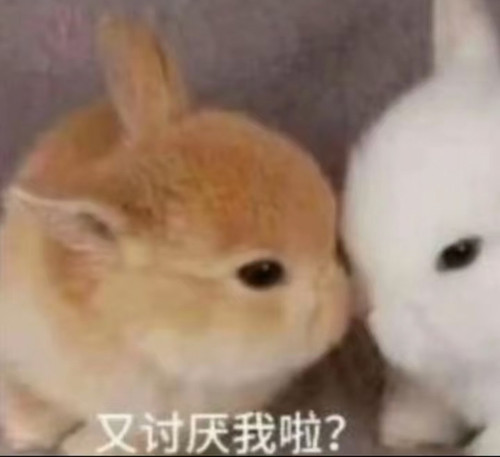 微信图片 20260808200934 21 6.jpg