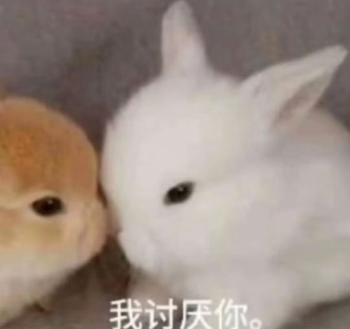 微信图片 20260808200935 22 6.jpg