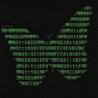 logo 1265484257 1786191222.jpg