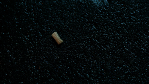 vlcsnap 2026 08 09 17h01m00s790.png