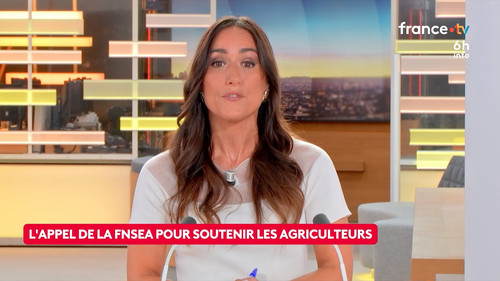 Le 6h info (France 2) 2026 08 09 04 55 02.ts snapshot 09.13.608