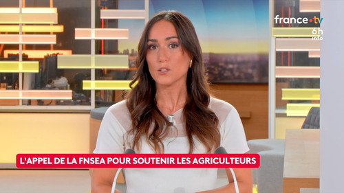 Le 6h info (France 2) 2026 08 09 04 55 02.ts snapshot 09.09.567