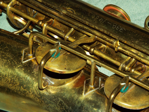 DSCF4155.jpg