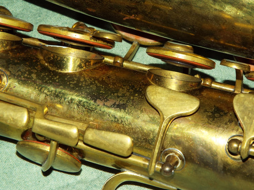 DSCF4147.jpg
