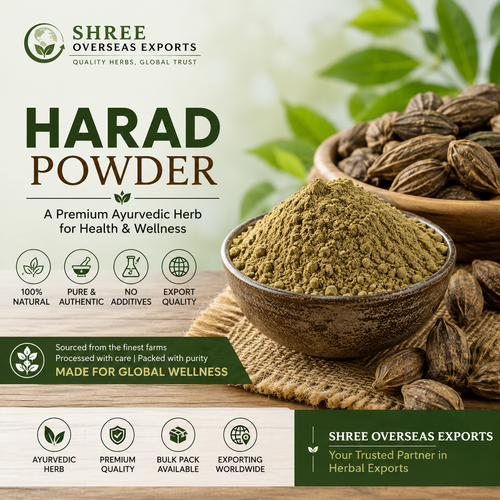 Terminalia Chebula Powder Manufacturer Reliable Bulk Supply for Global Buyers.png