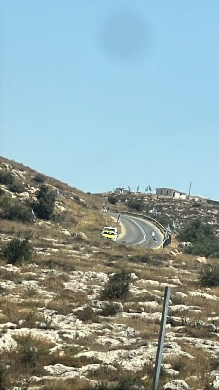 صورة الخبر