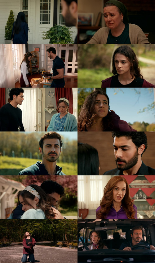 merged sheet.jpg