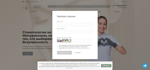 FireShot Capture 9284 Стоматология на Мичуринском проспекте в Раменках Москва namichurinskomprospekt.jpg