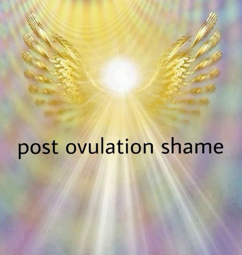 C4nQH6x.md.jpg