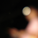 d2f7d4a93323.png