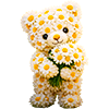 мишкаа.png