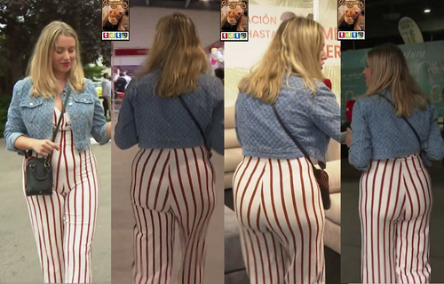 patrialaezpantcuadros oso0.png