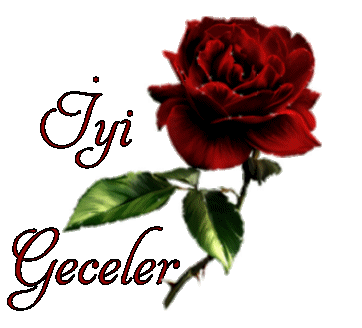 0c0c95b702286339fe50ff2937fc3610.gif