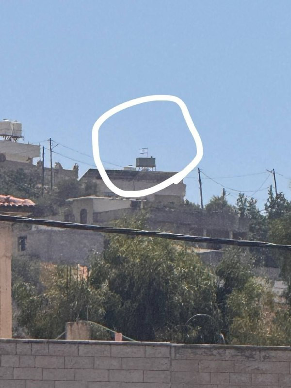 صورة الخبر