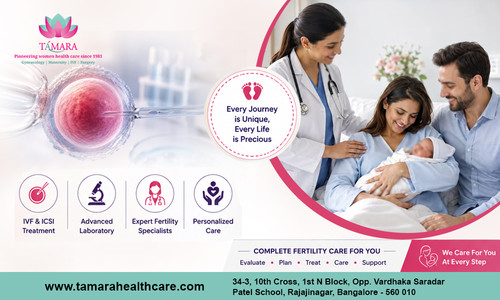 Find the Best IVF Doctor in Bangalore for Your Fertility Journey.jpg