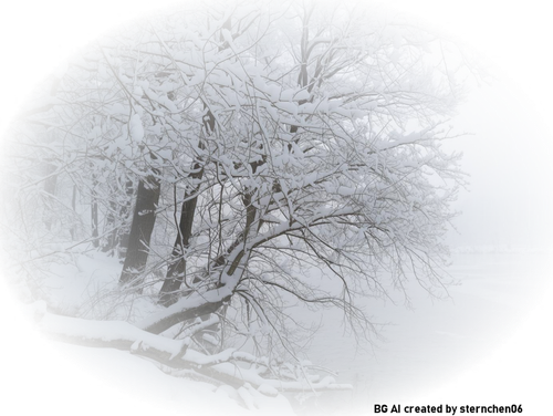 Bäume mit Schnee verhangen an einem See