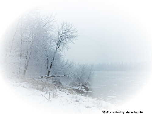 Bäume mit Schnee verhangen an einem See (1)