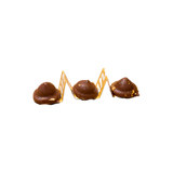 sable caramel 26jul26 Background Removed