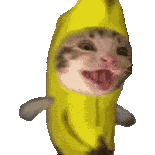 mmexport95d0e28a6748c4c376c11a101244c61c 1786270942661.gif