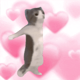 mmexport1d66303449c423ccf22c5807c6af2124 1786271045485.gif