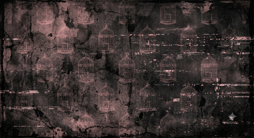 IMG 1255.png
