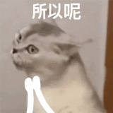 mmexport3e75ce8d473491e6b837b0c92ee424f0 1786331359422.gif