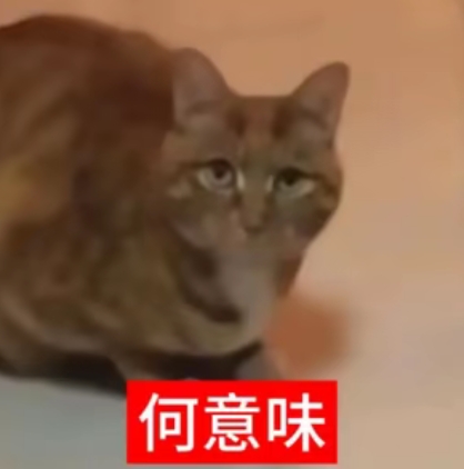 Screenshot 2026 08 10 11 00 04 89 2332cb9b27b851b548ba47a91682926c.jpg