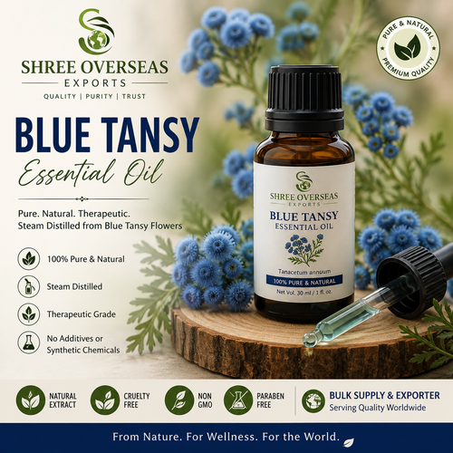 Blue Tansy Essential Oil Manufacturer India Bulk Supply, Quality & Export Guide.png