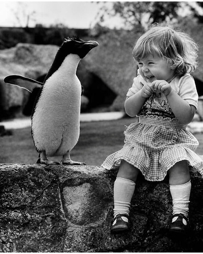 29 Vintage Photos That Prove Animals Have Always Been The Best Part Of The Picture 6a792d8d359c7 png.jpg