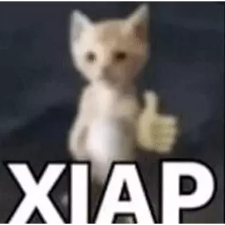 file.webp