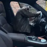 Приезжай еби всех.webp