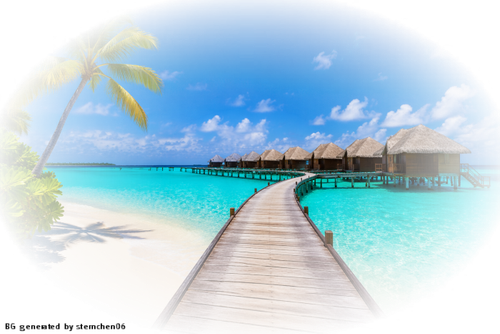 image Pippit 202606111458
