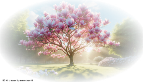  a62c17b9 5b45 4385 8bc9 c08ef11a564a