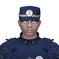 2a42a8fd6062.png
