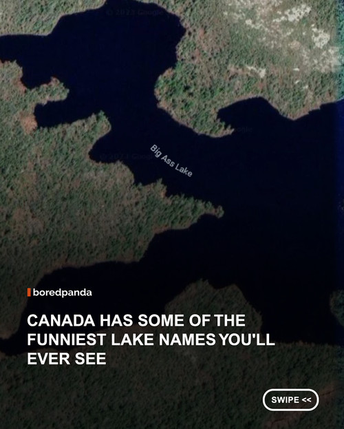 swipe to read.jpg