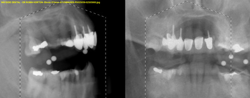 Elenie O'Hara G VXIMAGES P0025059 02505900.jpg