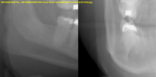 Fiona Price G VXIMAGES 1121829 01973400.jpg