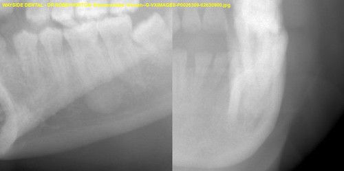 Emmanuellaa Yeboah G VXIMAGES P0026309 02630900.jpg