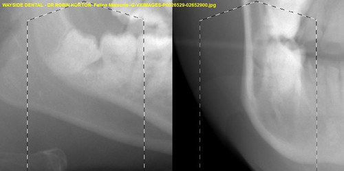 Falina Maisuria G VXIMAGES P0026529 02652900.jpg