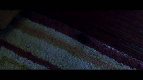 screen 01.png