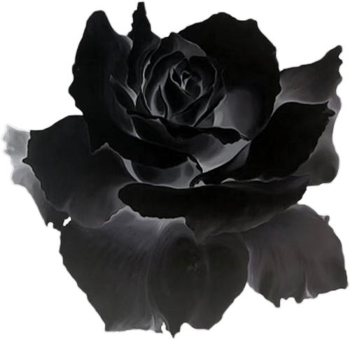 retouch 2026062800335250 edit 233878261454635.png