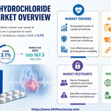 httpswww.24lifesciences.com 2026 06 29T132239.738
