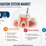 httpswww.24lifesciences.com 2026 06 29T130341.964