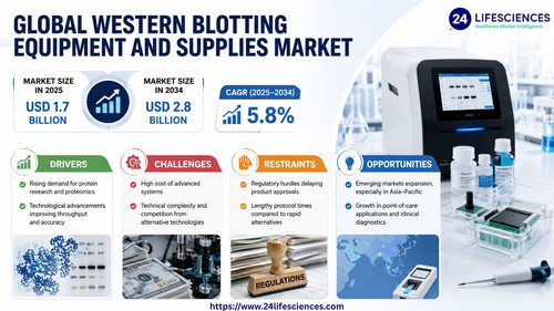 httpswww.24lifesciences.com 2026 06 29T143217.151.jpg