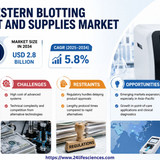 httpswww.24lifesciences.com 2026 06 29T143217.151