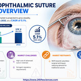 httpswww.24lifesciences.com 2026 06 29T150257.146